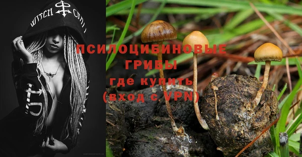 гидропоника Арсеньев